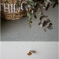 Brass furniture knob Nena M