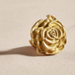 Brass / Brushed gold pink furniture knob