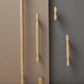 Brass furniture door handle